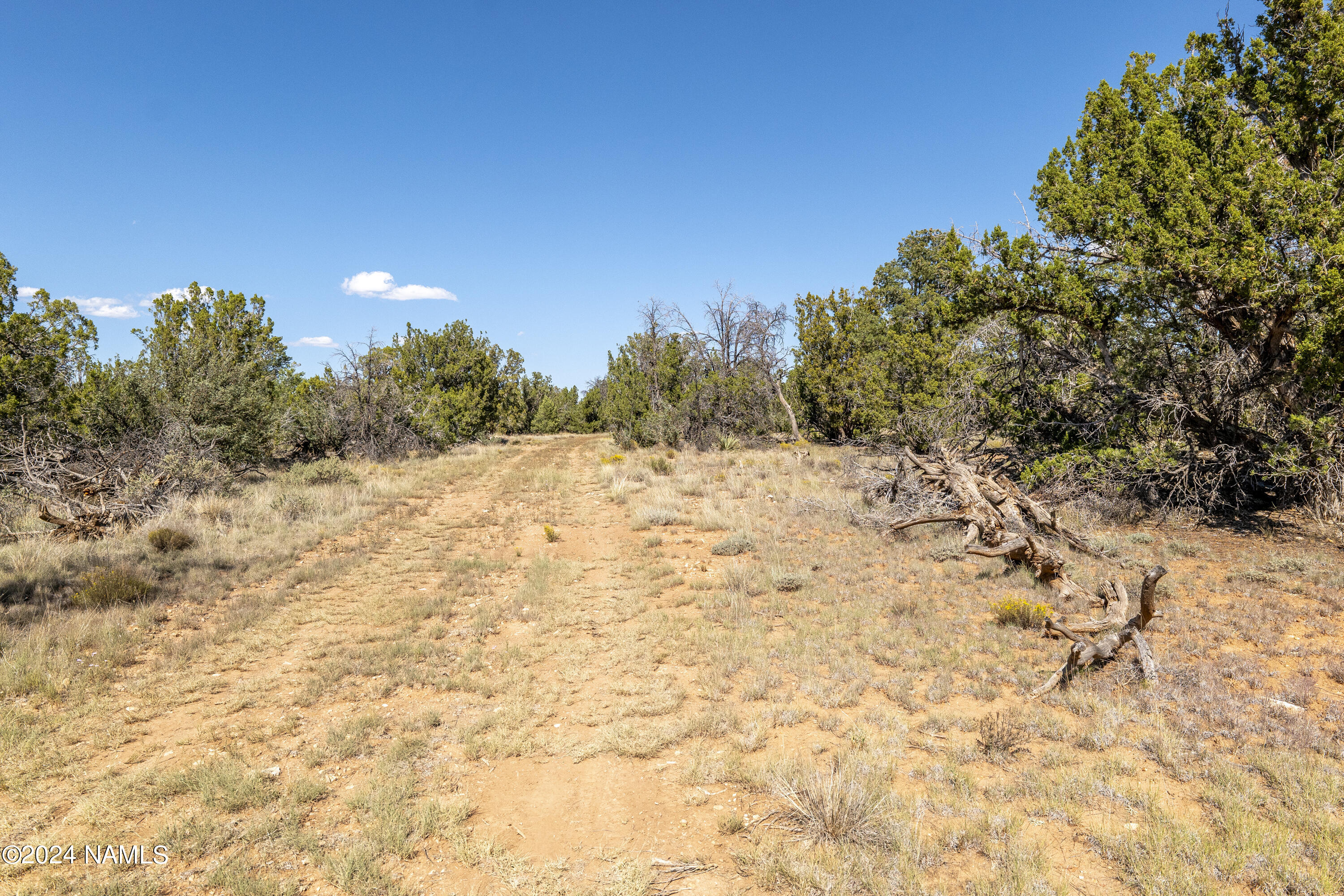 4750 Woodlands Ranch Road Williams, AZ 86046 - Photo 11 of 31 Flat Driveway