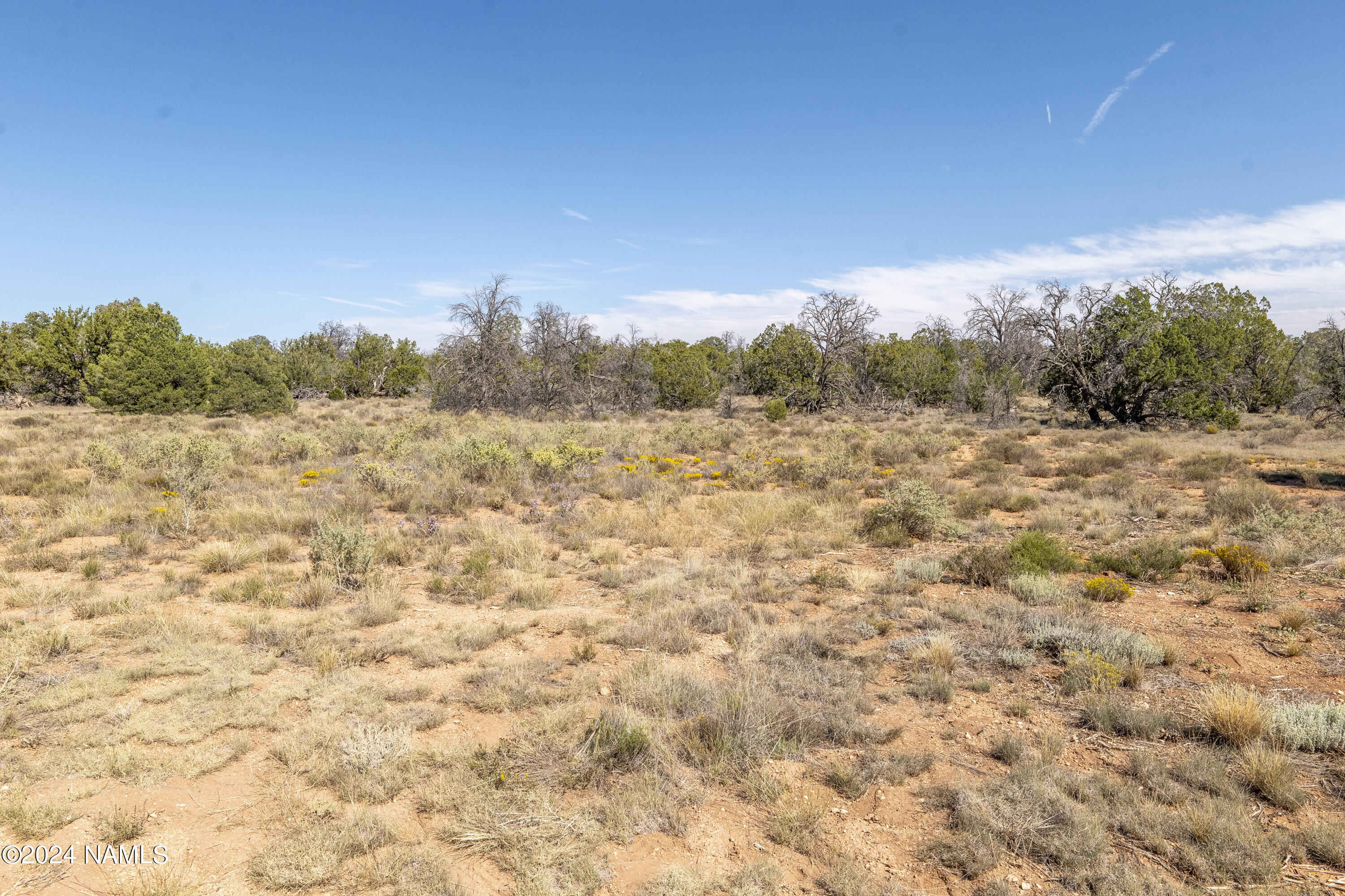 4750 Woodlands Ranch Road Williams, AZ 86046 - Photo 19 of 31 View