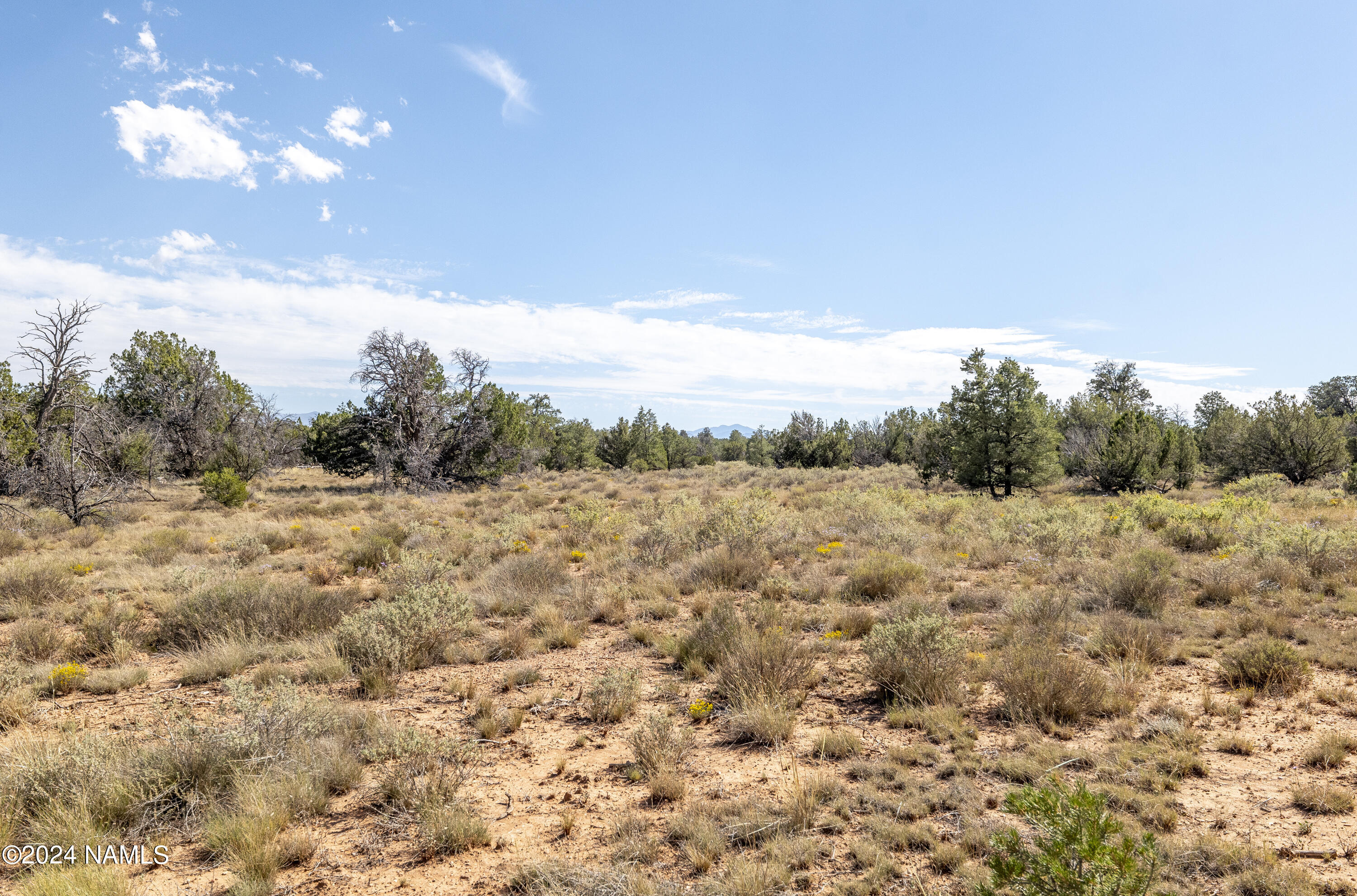 4750 Woodlands Ranch Road Williams, AZ 86046 - Photo 20 of 31 View