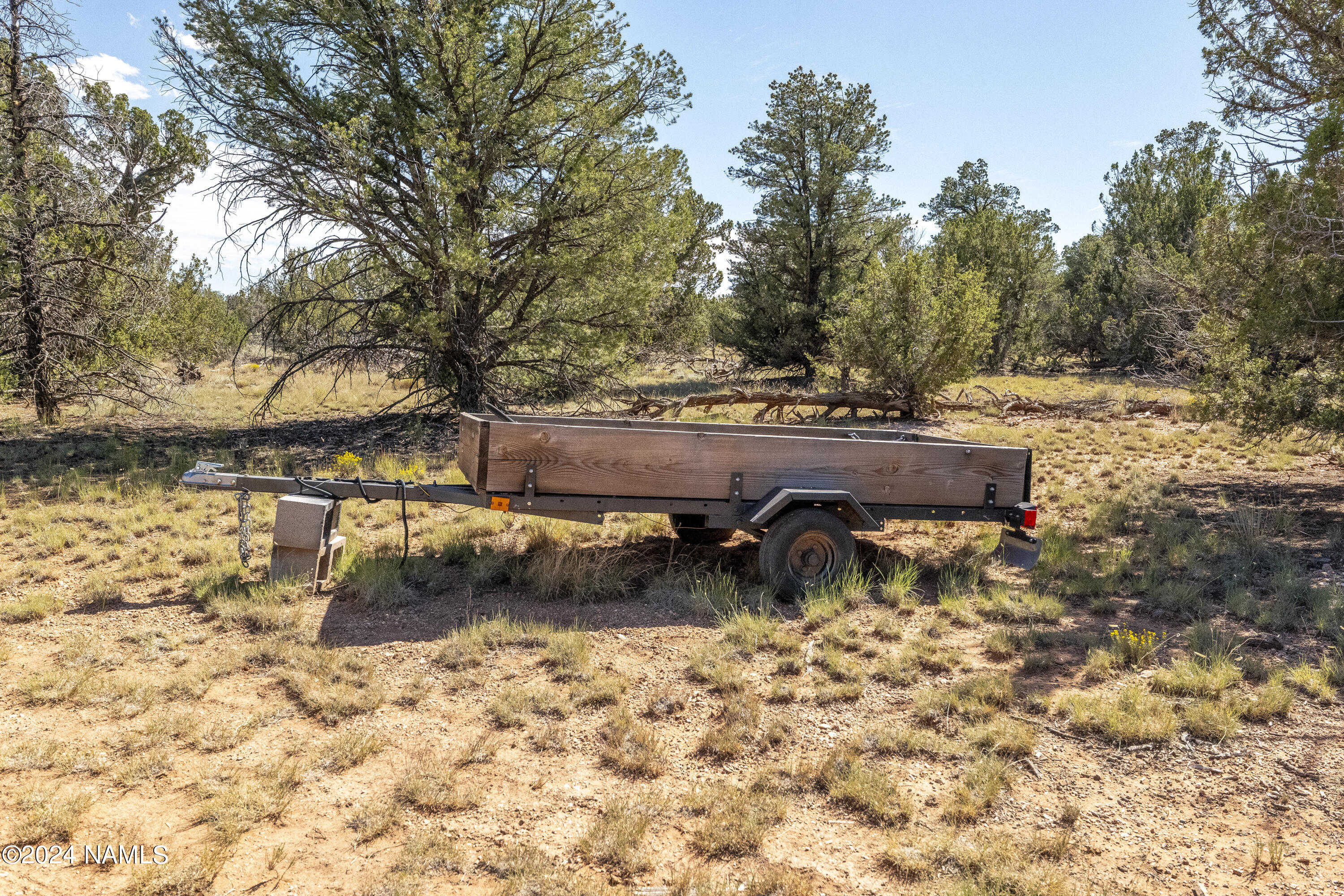4750 Woodlands Ranch Road Williams, AZ 86046 - Photo 5 of 31 Trees Everywhere