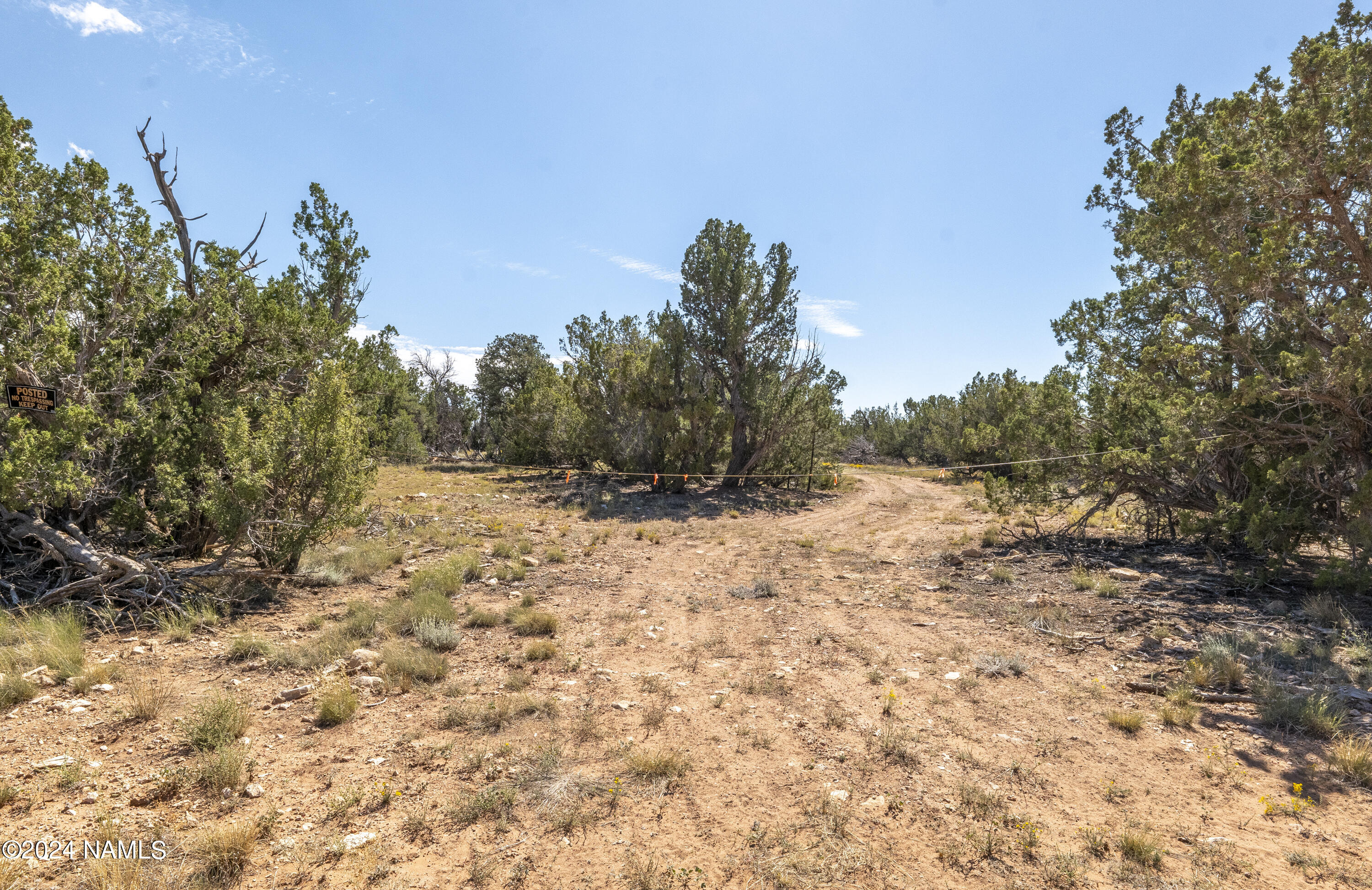 4750 Woodlands Ranch Road Williams, AZ 86046 - Photo 9 of 31 Flat Driveway