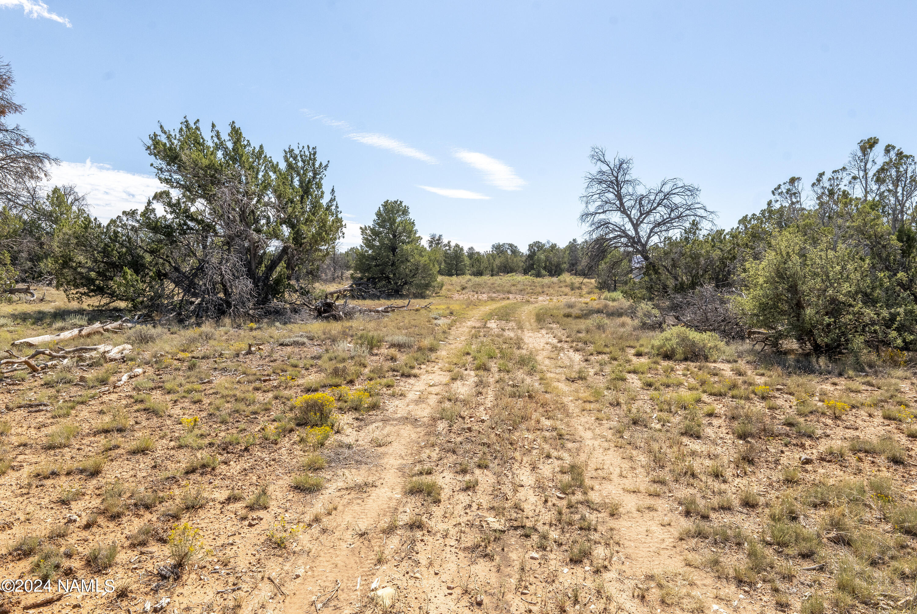 4750 Woodlands Ranch Road Williams, AZ 86046 - Photo 10 of 31 Flat Driveway