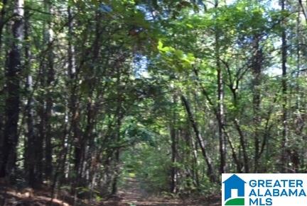 280 Saltsman Road, Unit 80± ACRES Alexander City, AL 35010 - Photo 7 of 17