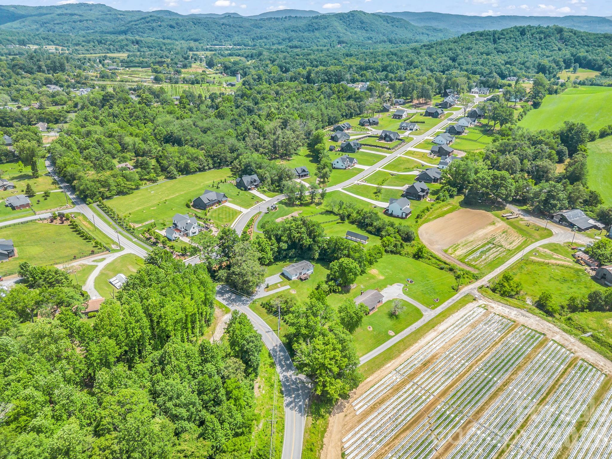 210 Banner Farm Road Mills River, NC 28759 - Photo 45 of 48
