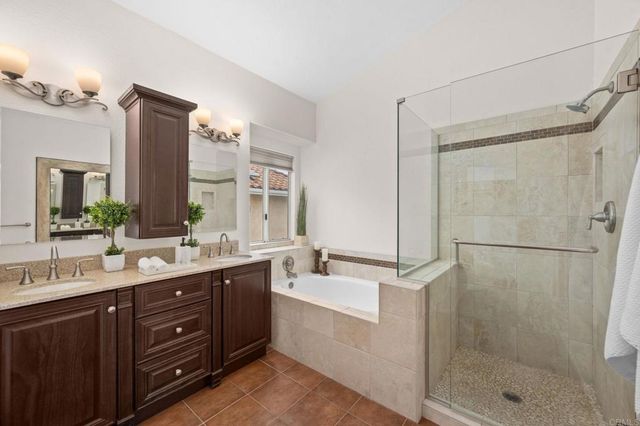 a bathroom with a double vanity sink mirror double shower and a bathtub