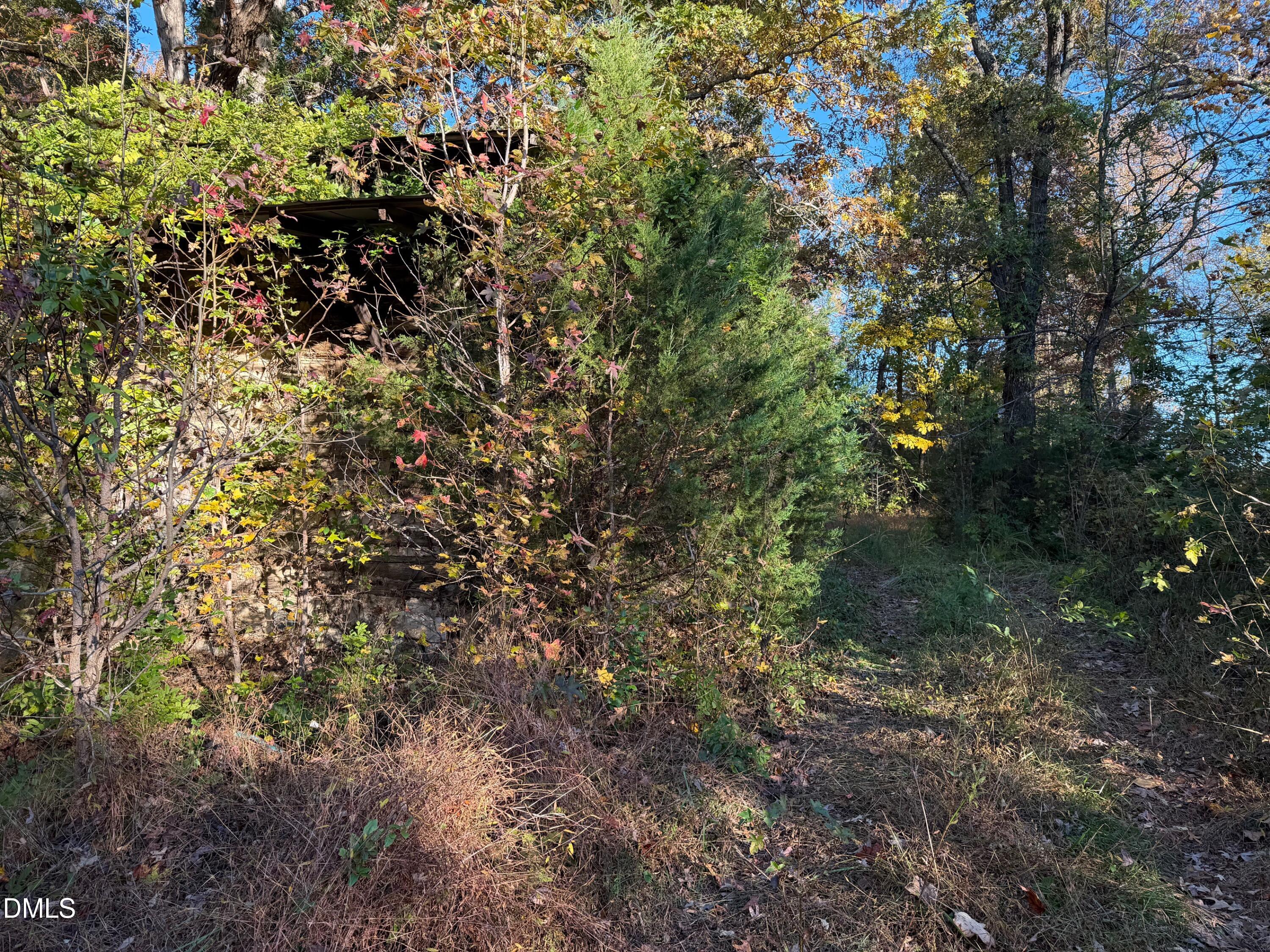 1244 Jones Road Hurdle Mills, NC 27541 - Photo 13 of 17