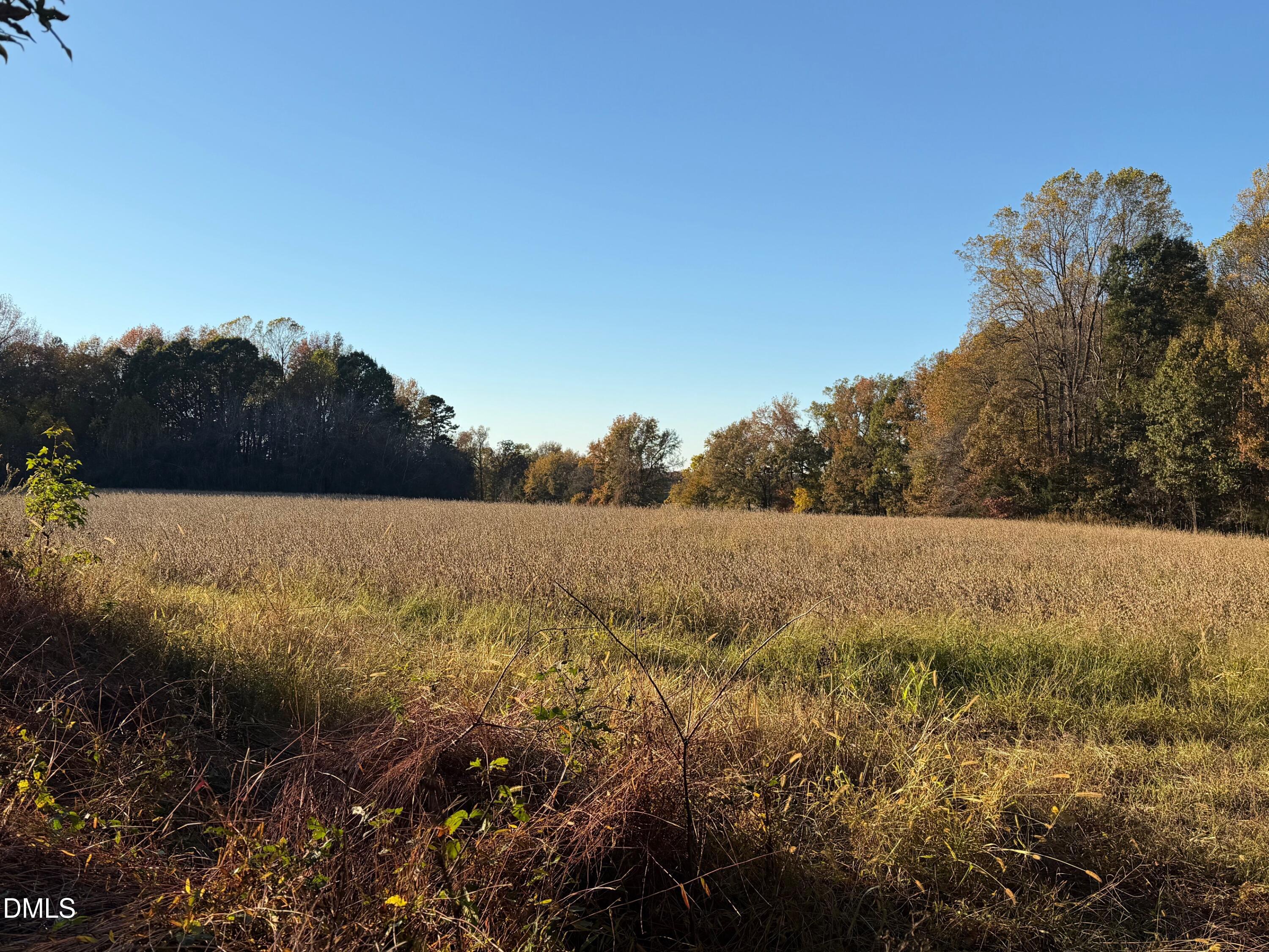 1244 Jones Road Hurdle Mills, NC 27541 - Photo 15 of 17 a view of lake with green space