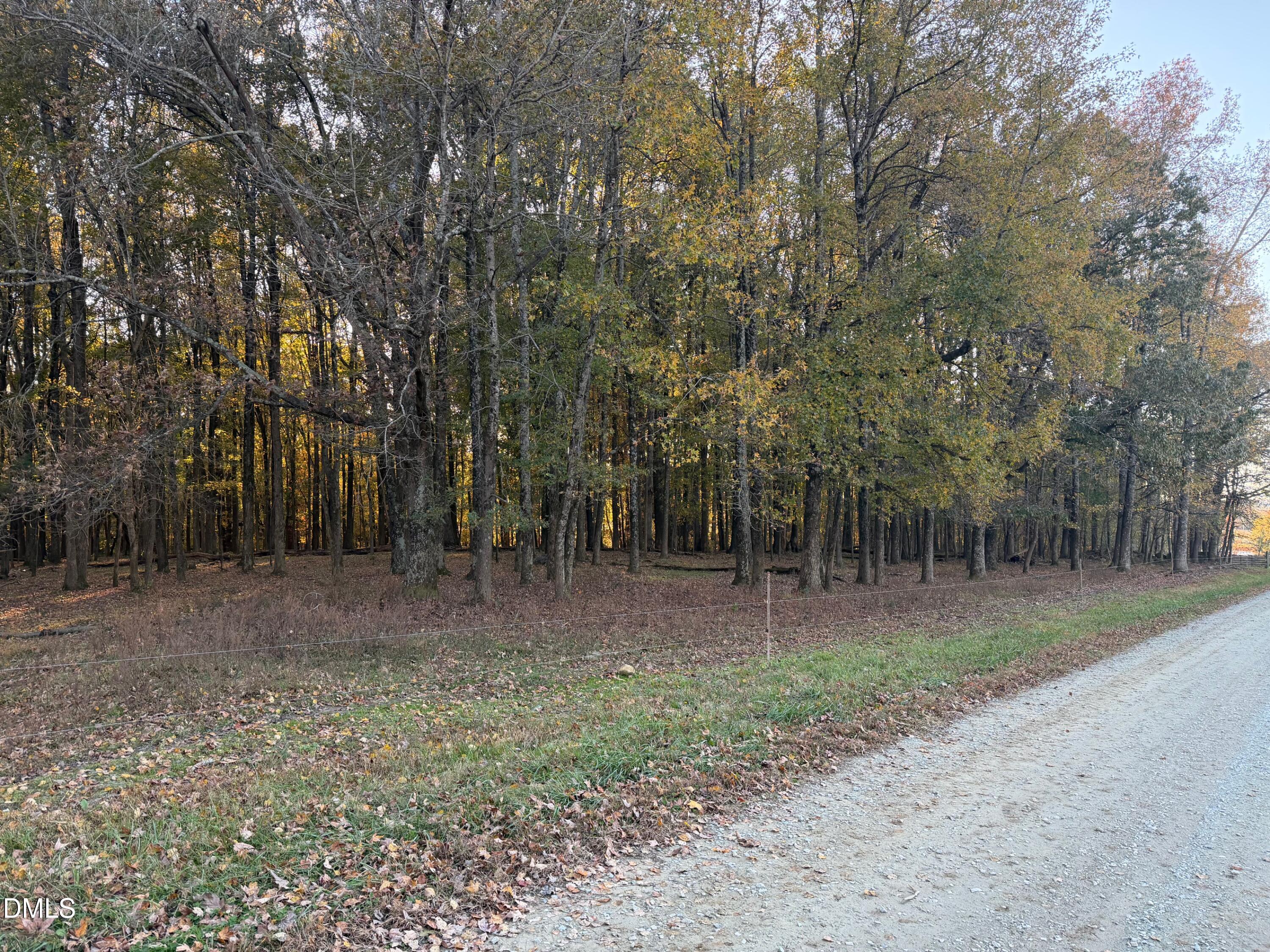 1244 Jones Road Hurdle Mills, NC 27541 - Photo 17 of 17 a backyard of a house with lots of green space
