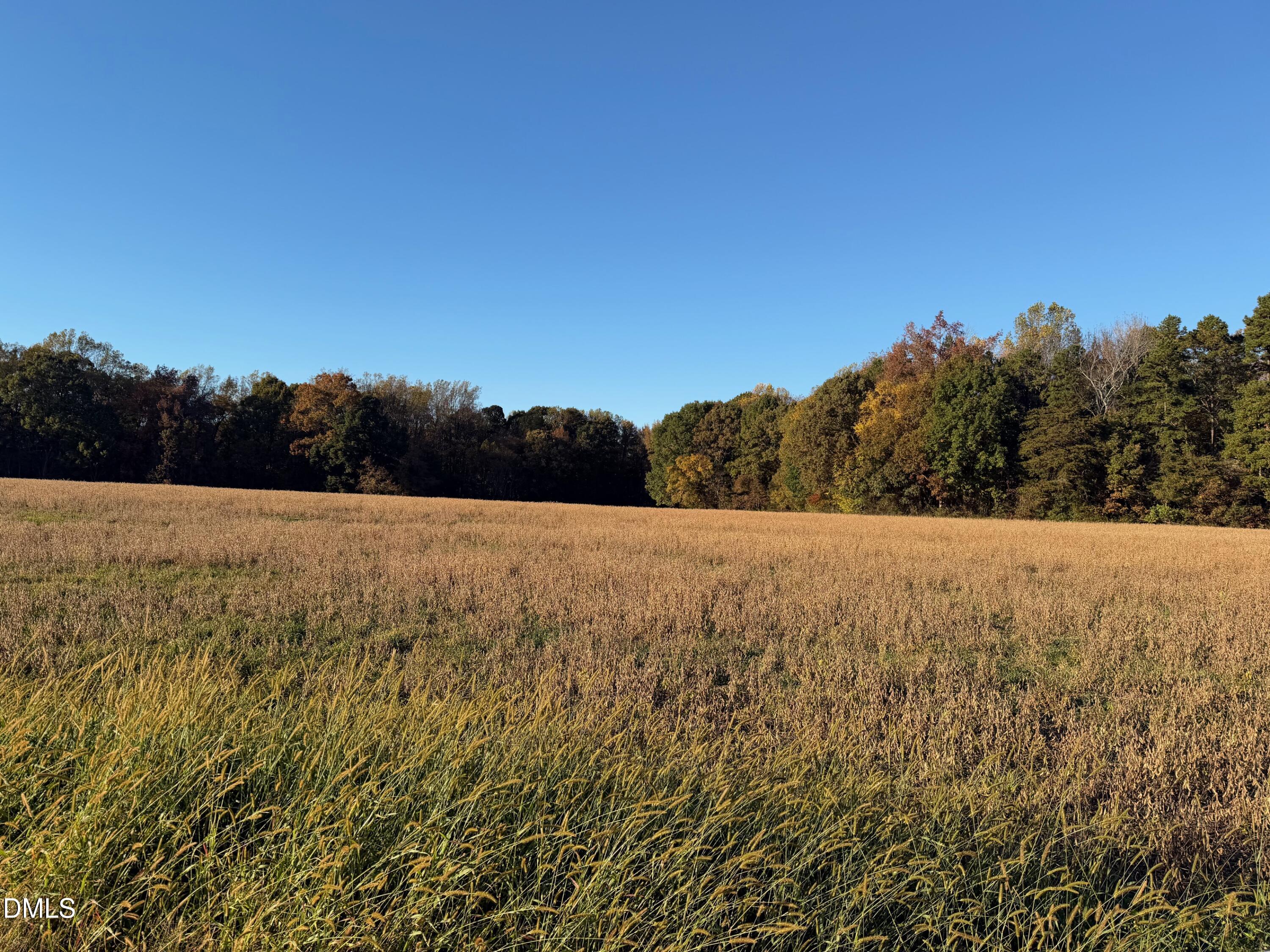 1244 Jones Road Hurdle Mills, NC 27541 - Photo 4 of 17 a view of mountain view