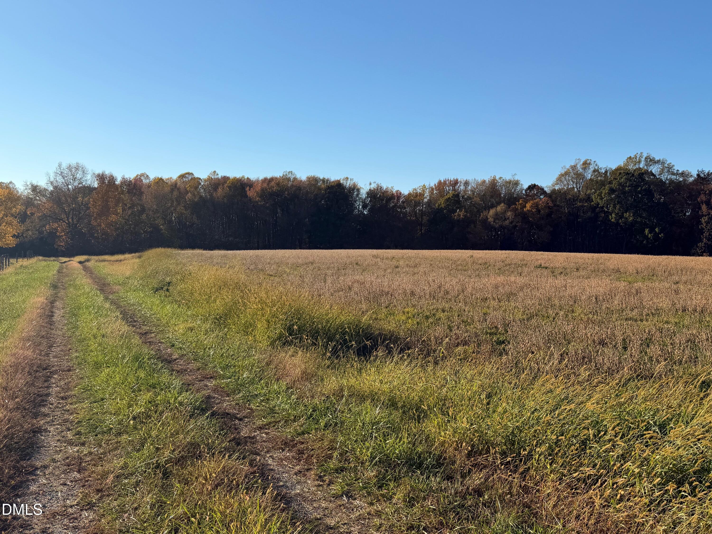 1244 Jones Road Hurdle Mills, NC 27541 - Photo 5 of 17 a view of an outdoor space and a yard