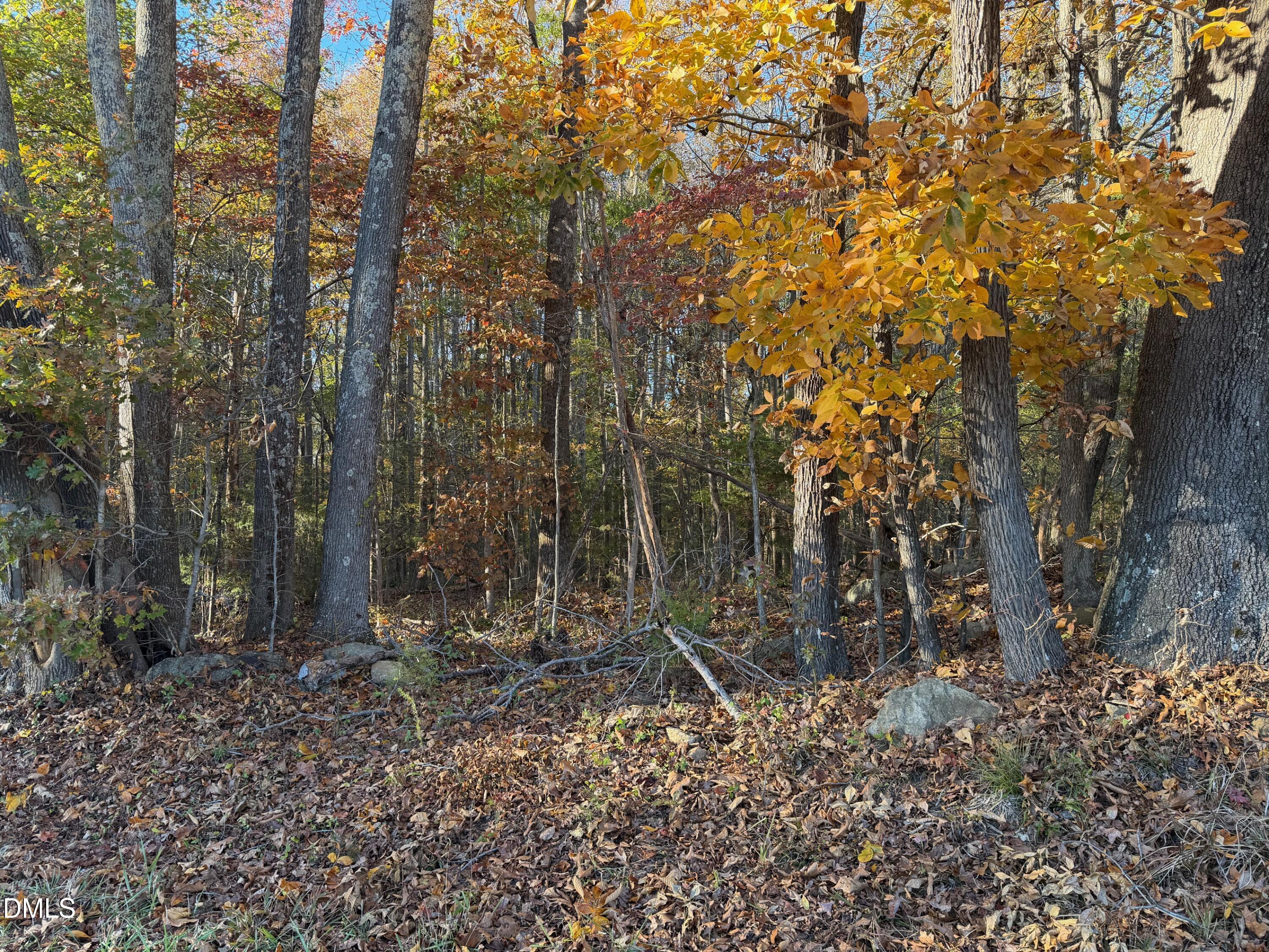 1244 Jones Road Hurdle Mills, NC 27541 - Photo 6 of 17 a view of backyard with green space