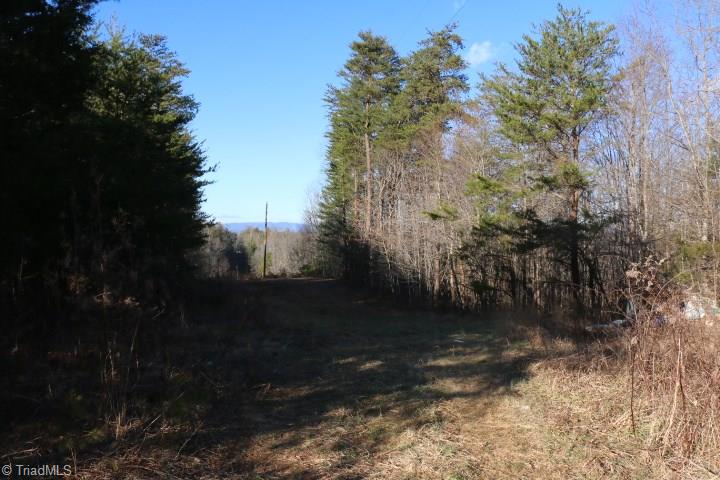 0 Pell Road, Unit 14 Westfield, NC 27053 - Photo 13 of 15 Gallery Image 13