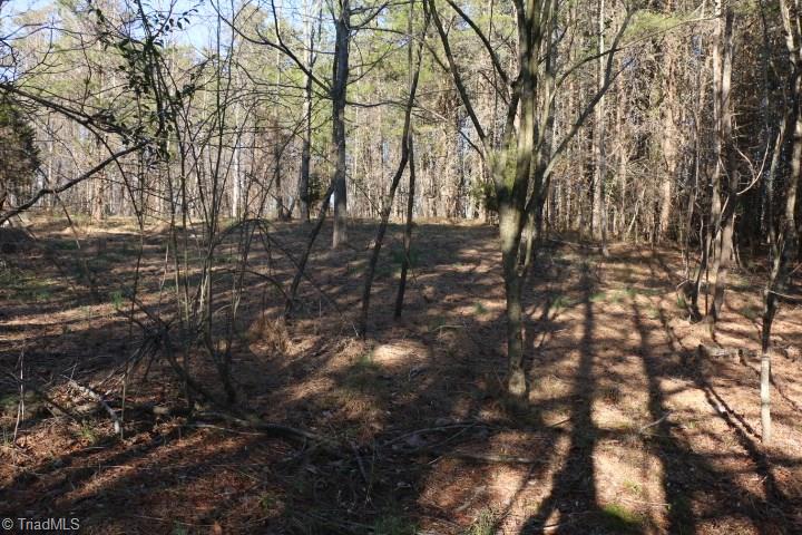 0 Pell Road, Unit 14 Westfield, NC 27053 - Photo 8 of 15 Gallery Image 8