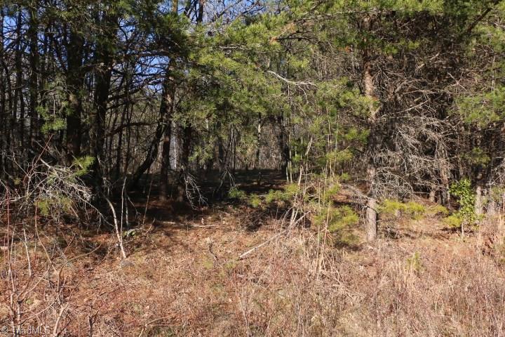 0 Pell Road, Unit 14 Westfield, NC 27053 - Photo 9 of 15 Gallery Image 9