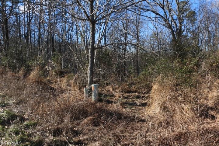 0 Pell Road, Unit 14 Westfield, NC 27053 - Photo 10 of 15 Gallery Image 10