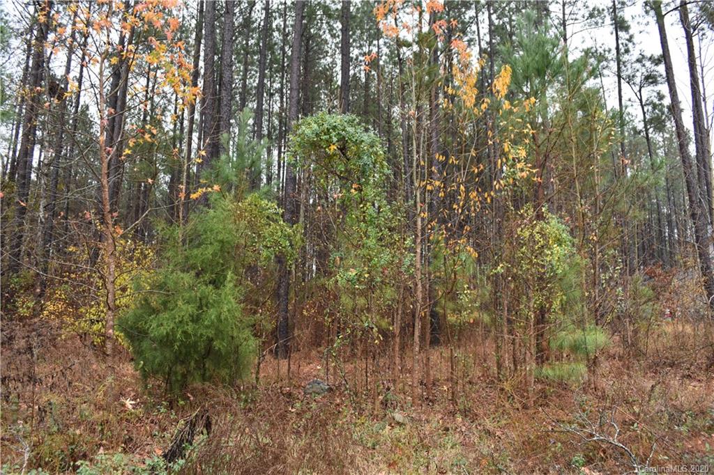 2174 Lometa Road, Unit 20 York, SC 29745 - Photo 3 of 4 Gallery Image 3