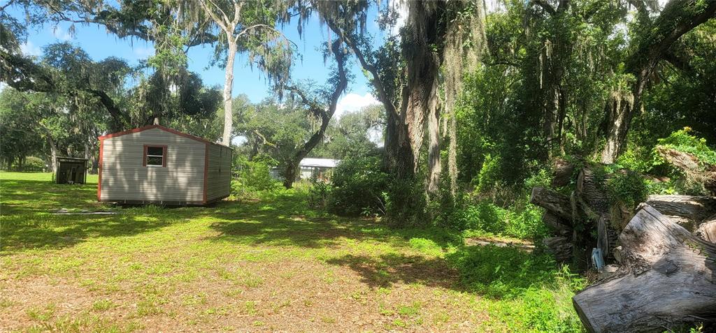 3534 Milton West Road Dover, FL 33527 - Photo 22 of 26 a backyard of a house with lots of green space
