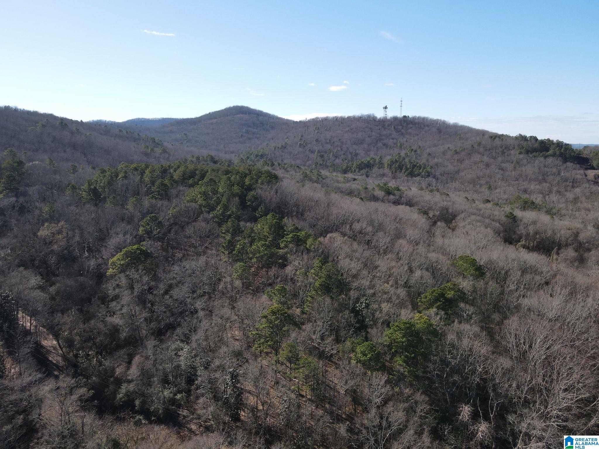 0 West 3rd Street, Unit 1 Anniston, AL 36201 - Photo 4 of 16