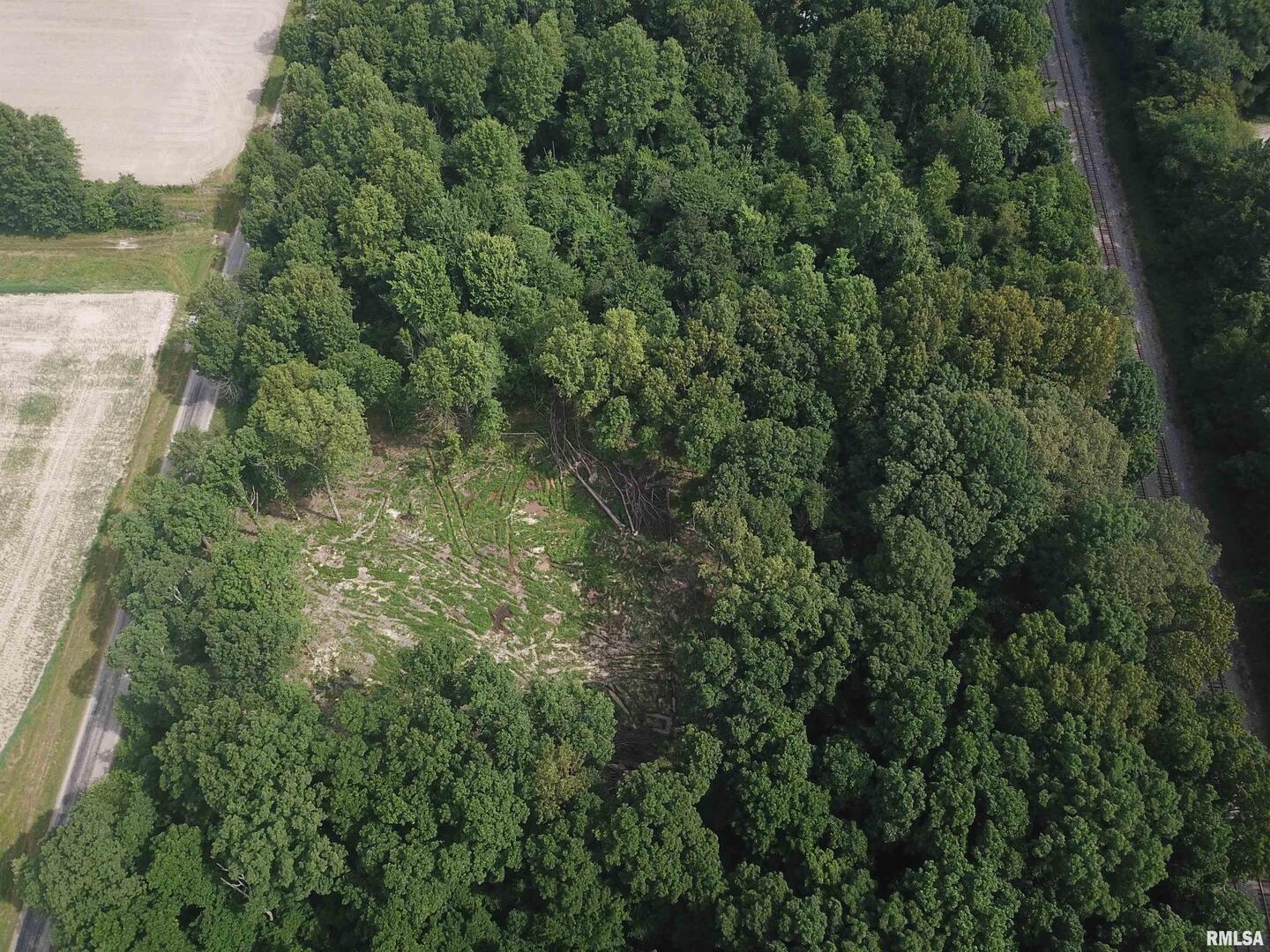 0 Beard Road Xenia, IL 62899 - Photo 13 of 24 an aerial view of residential houses with outdoor space and trees