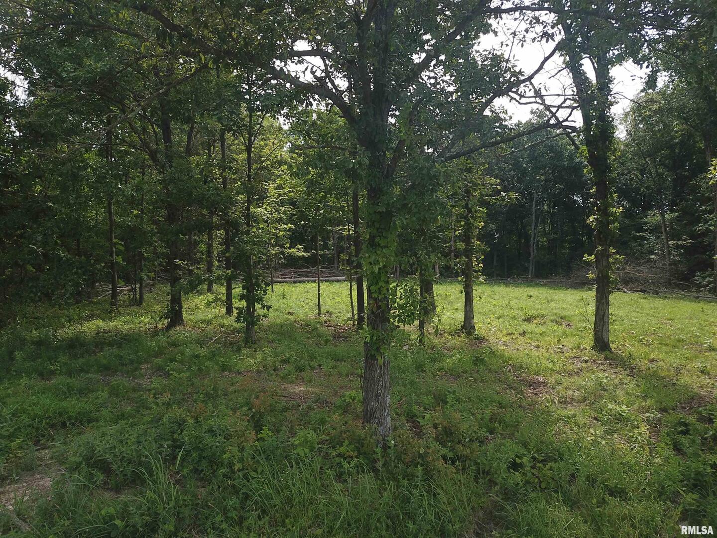 0 Beard Road Xenia, IL 62899 - Photo 15 of 24 a view of outdoor space and yard