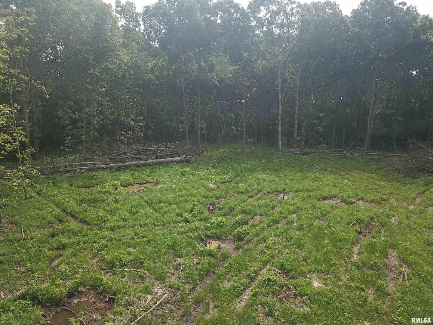 0 Beard Road Xenia, IL 62899 - Photo 17 of 24 a view of a yard