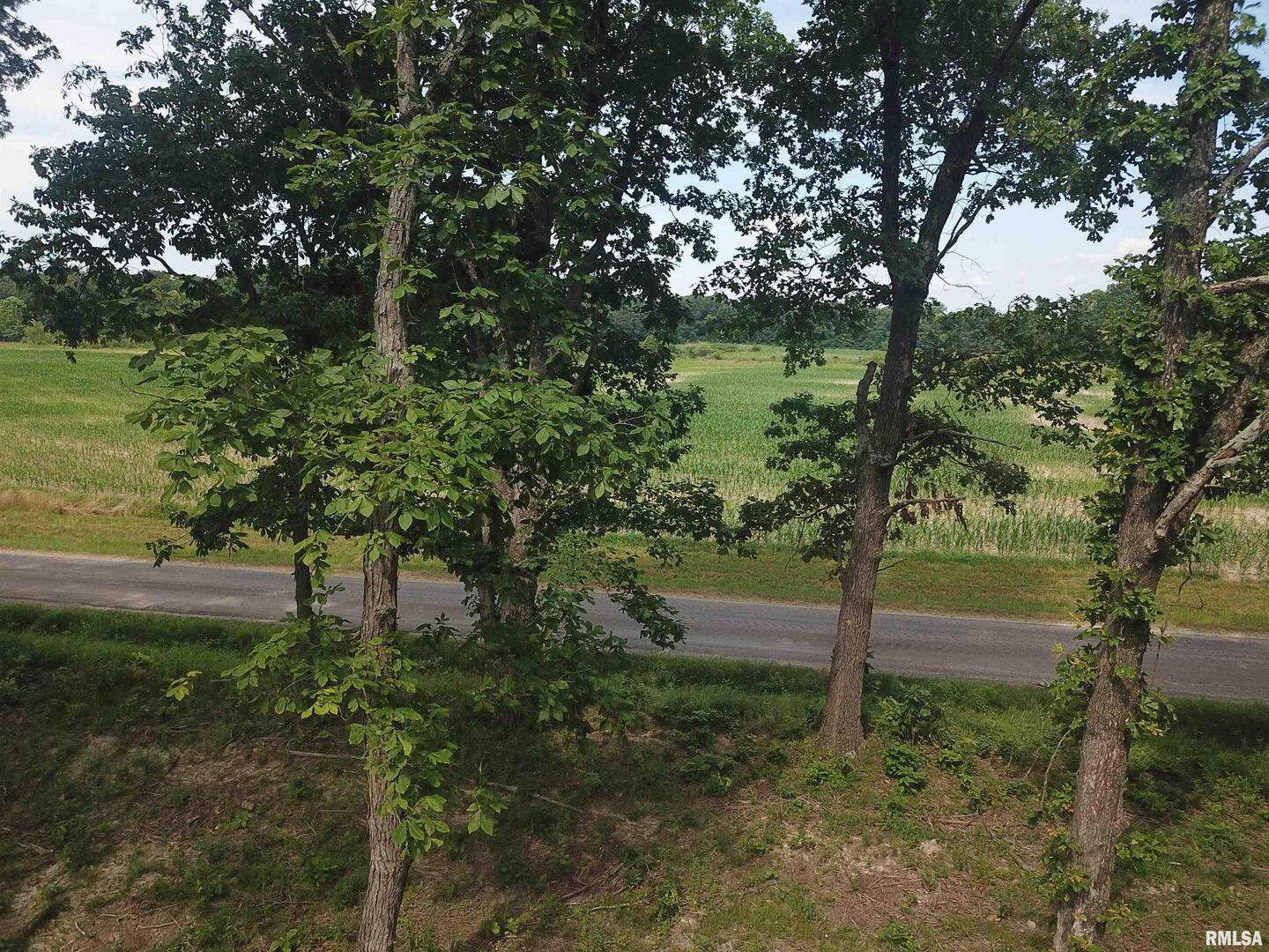 0 Beard Road Xenia, IL 62899 - Photo 20 of 24 a big yard with lots of green space and trees