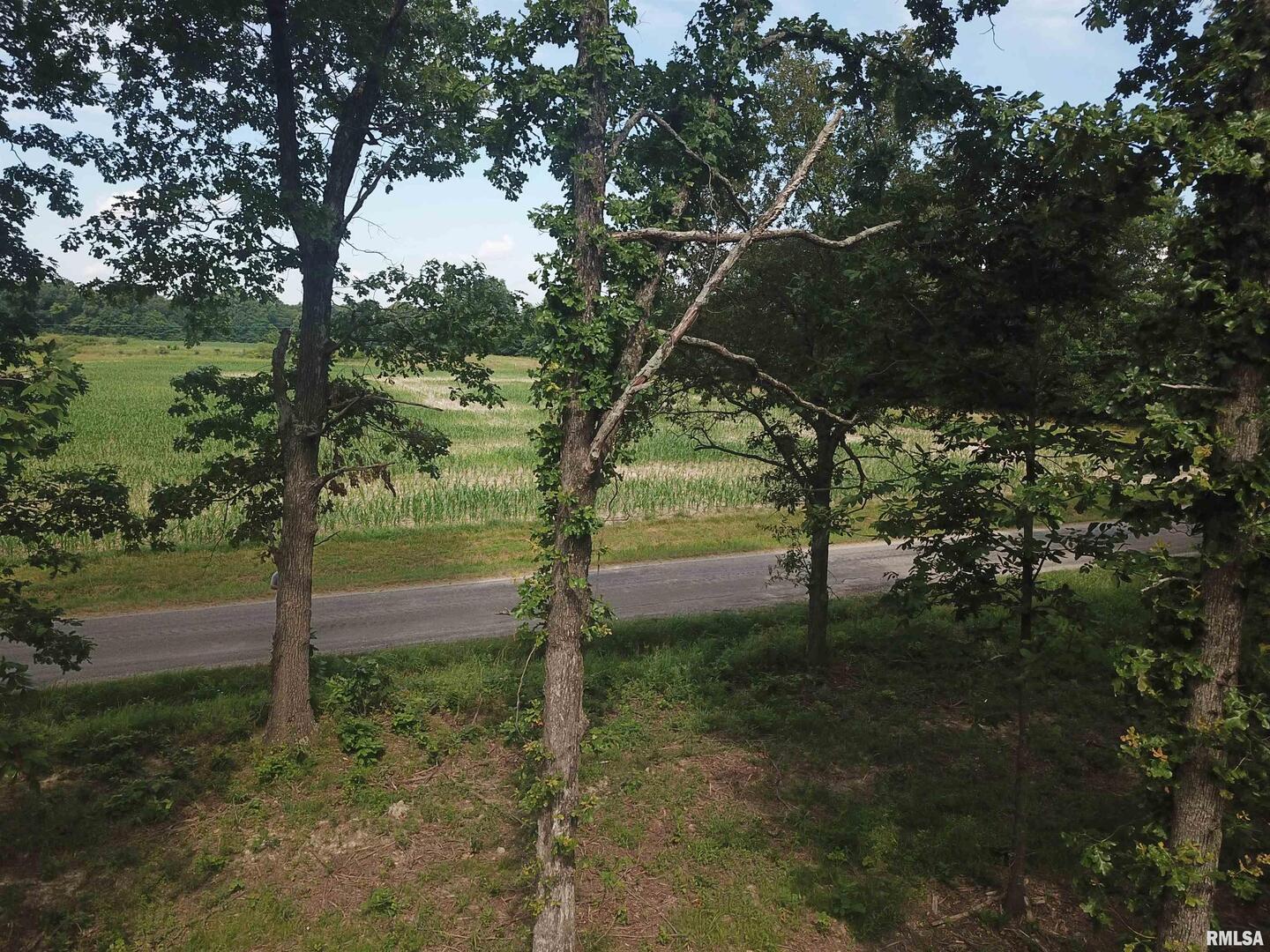 0 Beard Road Xenia, IL 62899 - Photo 21 of 24 a view of a tree in the middle of a yard