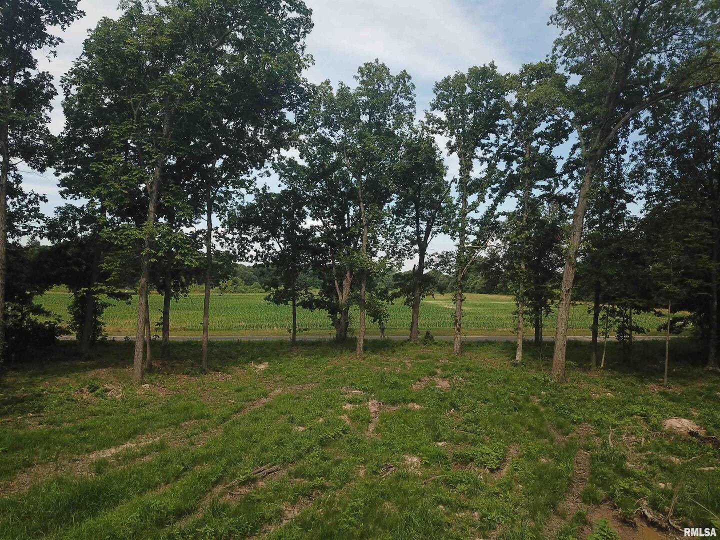 0 Beard Road Xenia, IL 62899 - Photo 24 of 24 a backyard of a house with lots of green space