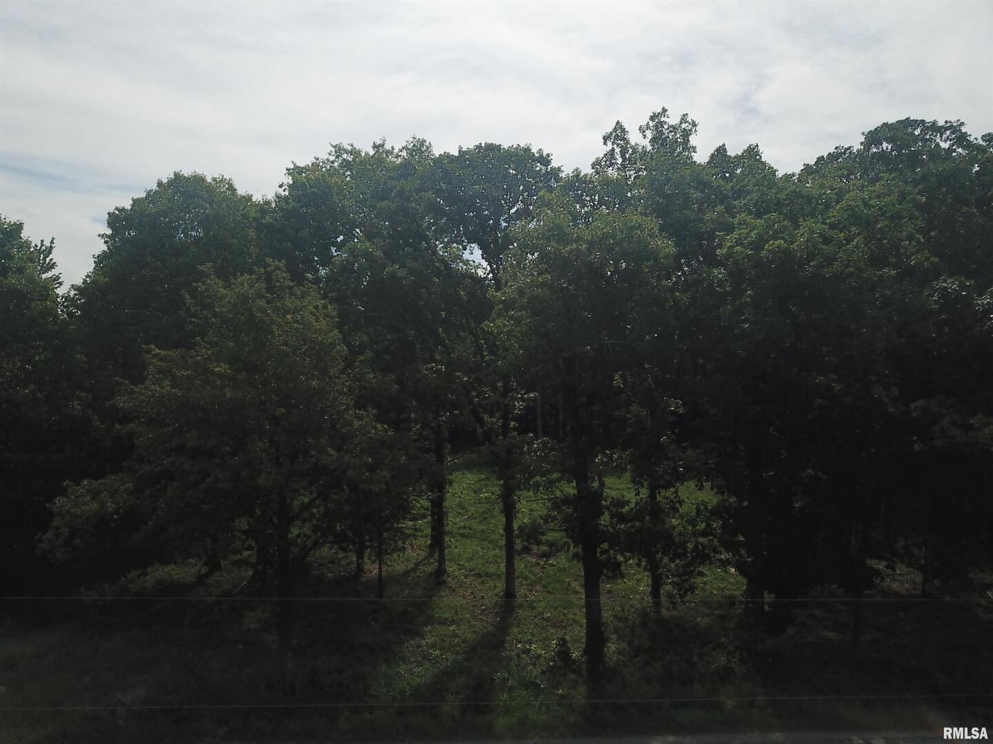 0 Beard Road Xenia, IL 62899 - Photo 5 of 24 a view of a city from a balcony