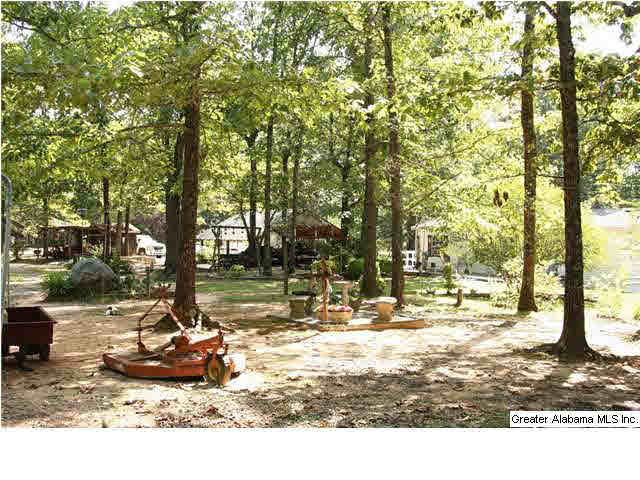 1040 Lynch Lake Road Odenville, AL 35120 - Photo 3 of 30
