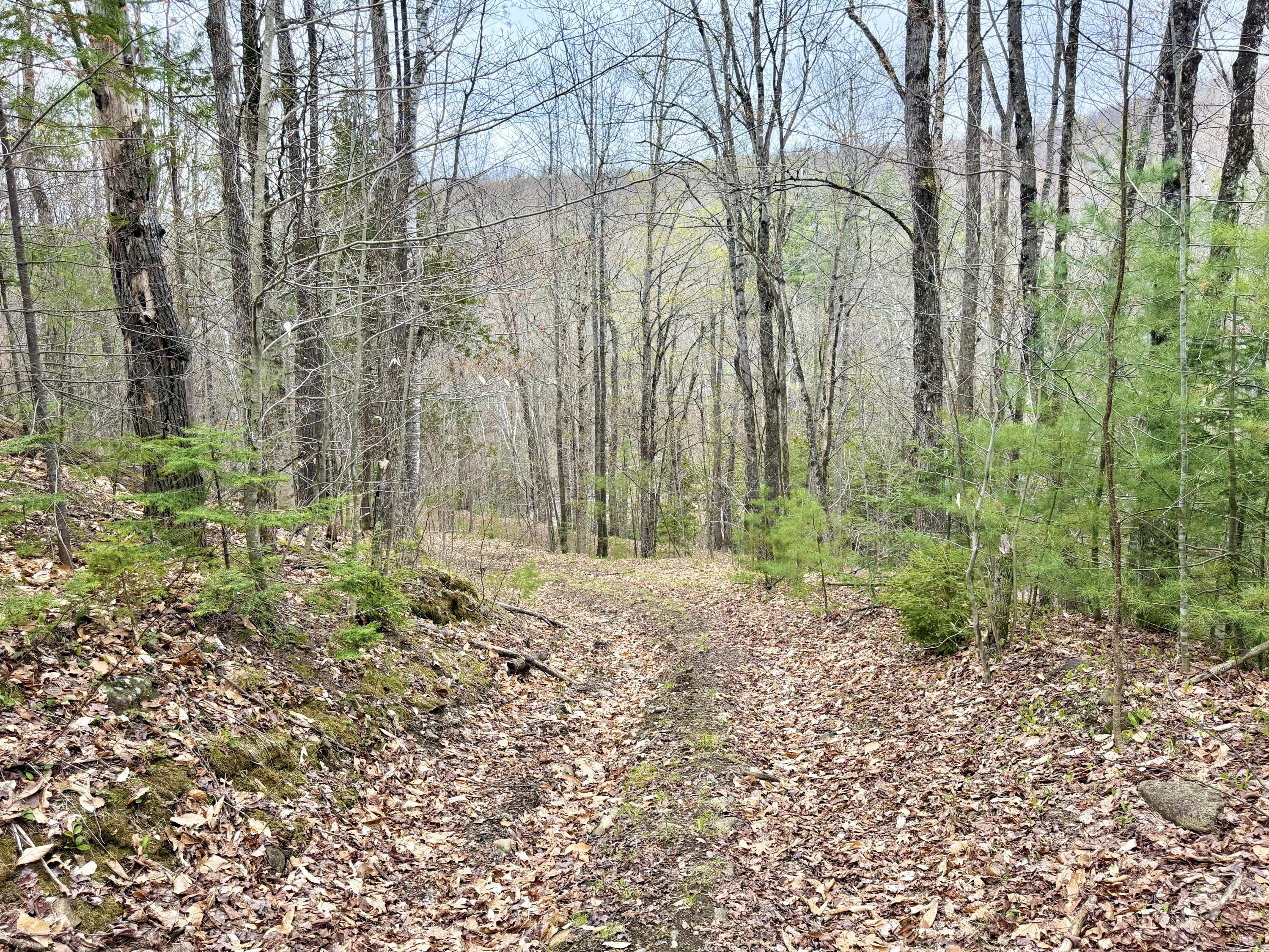 Lot 2 Mooseley Ridge Road Phillips, ME 04966 - Photo 20 of 24