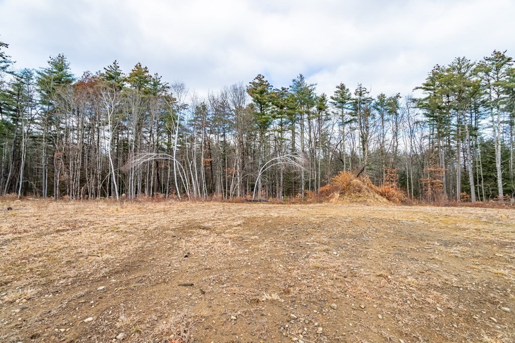 1 Valley Road Lunenburg, MA 01462 - Photo 7 of 12 a backyard of a house with palm trees