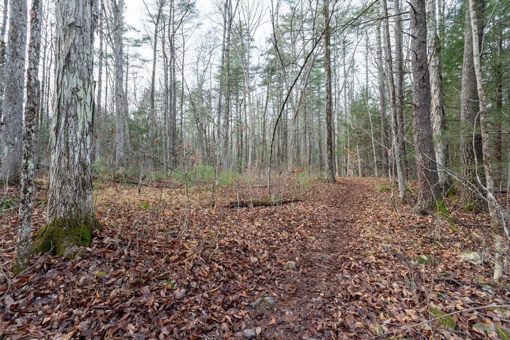 1 Valley Road Lunenburg, MA 01462 - Photo 8 of 12 a view of a yard with trees in the background