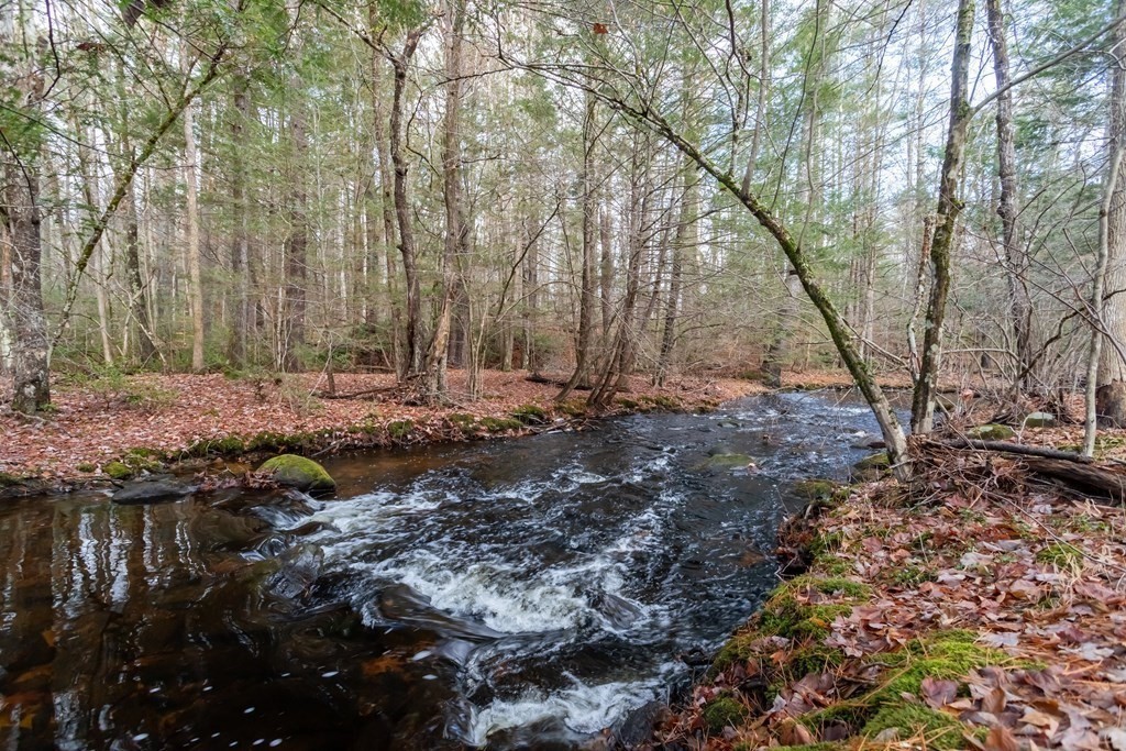 1 Valley Road Lunenburg, MA 01462 - Photo 10 of 12 a view of a forest filled with trees