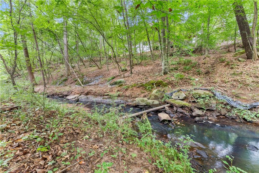 1125 Pine Grove Road Roswell, GA 30075 - Photo 4 of 14 a view of forest