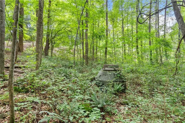 a view of outdoor space and garden