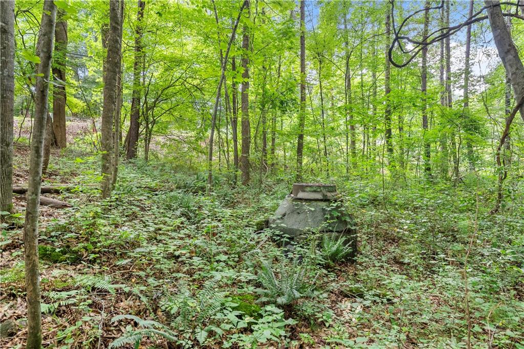 1125 Pine Grove Road Roswell, GA 30075 - Photo 5 of 14 a view of outdoor space and garden