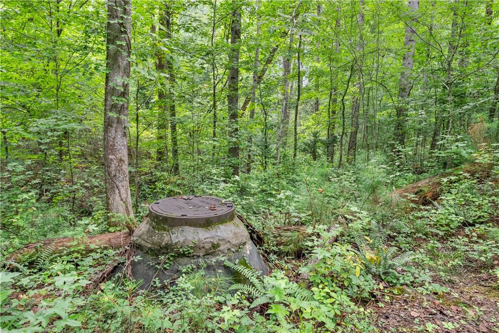 1125 Pine Grove Road Roswell, GA 30075 - Photo 6 of 14