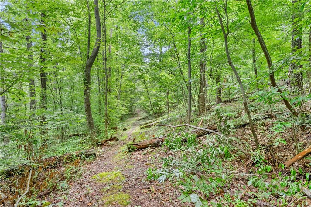 1125 Pine Grove Road Roswell, GA 30075 - Photo 8 of 14 a view of a garden