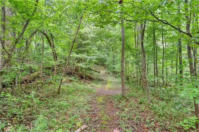 a view of a lush green forest with a house