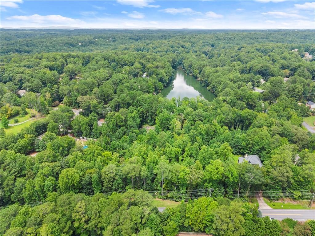 1125 Pine Grove Road Roswell, GA 30075 - Photo 10 of 14 a view of a lush green forest with a house