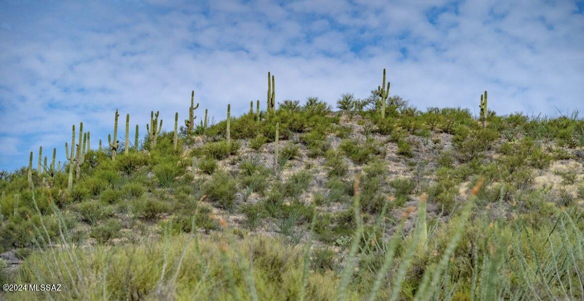 15575 East Colossal Cave Road Vail, AZ 85641 - Photo 14 of 23