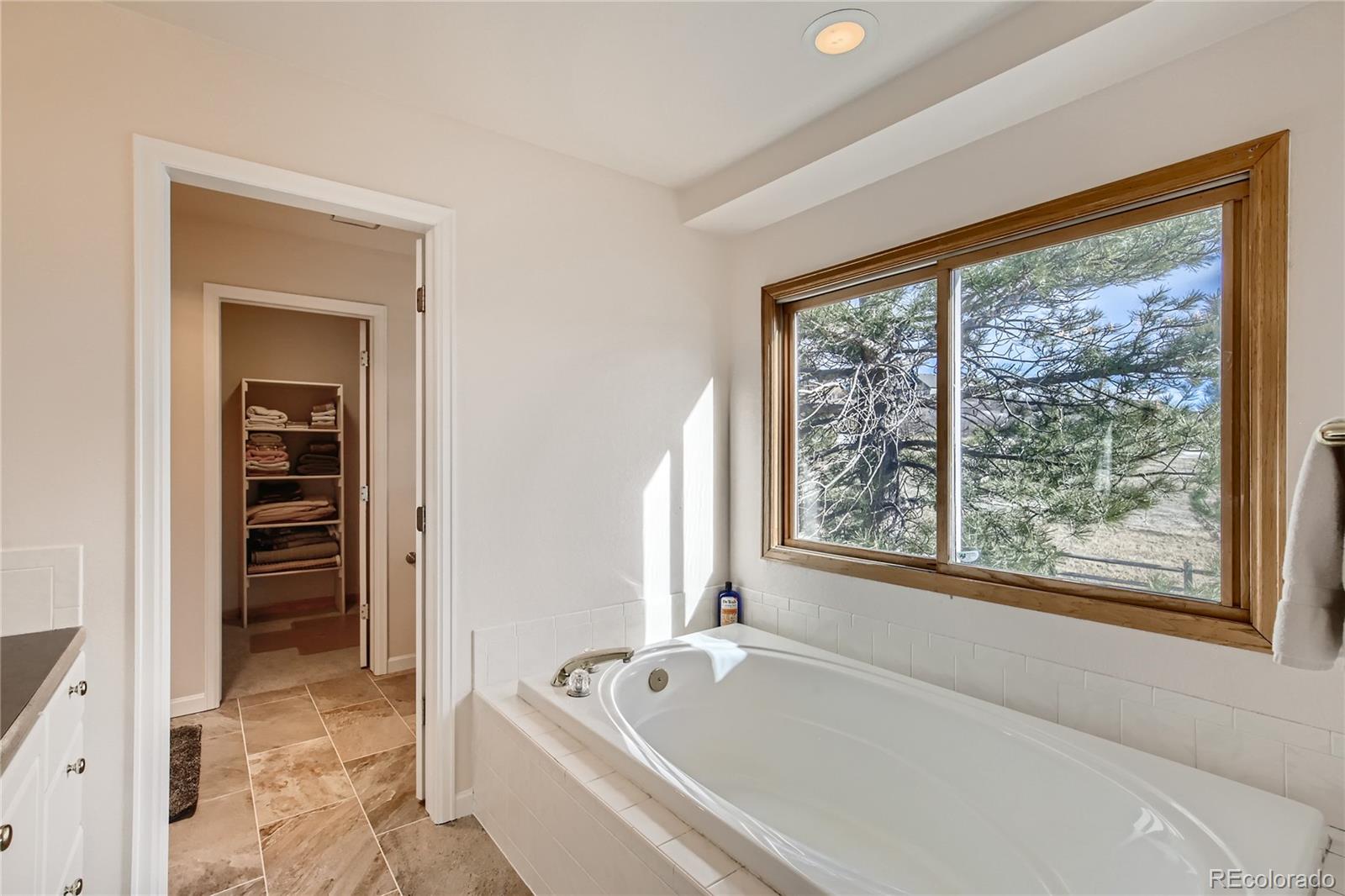 3961 Bear Canyon Circle Sedalia, CO 80135 - Photo 16 of 40 a bathroom with a bathtub and a shower