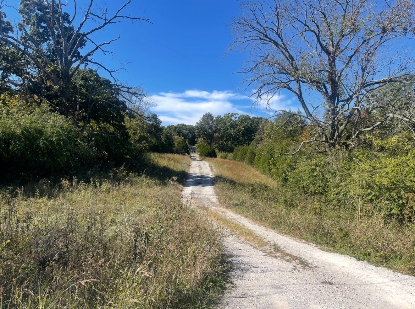 2491 Fred White Road Columbia, TN 38401 - Photo 3 of 6