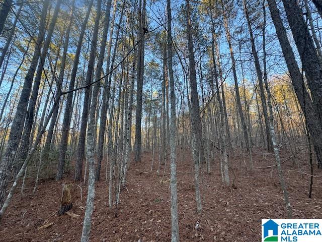170 Valley Grove Road, Unit 45 AC Cragford, AL 36255 - Photo 2 of 19