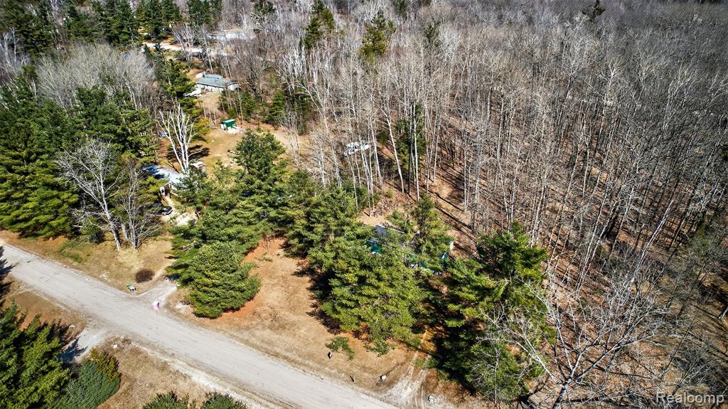 2633 Stevens Road Greenbush, MI 48738 - Photo 4 of 19