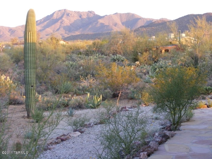 10040 West Rudasill Road Tucson, AZ 85743 - Photo 7 of 20 Gallery Image 7