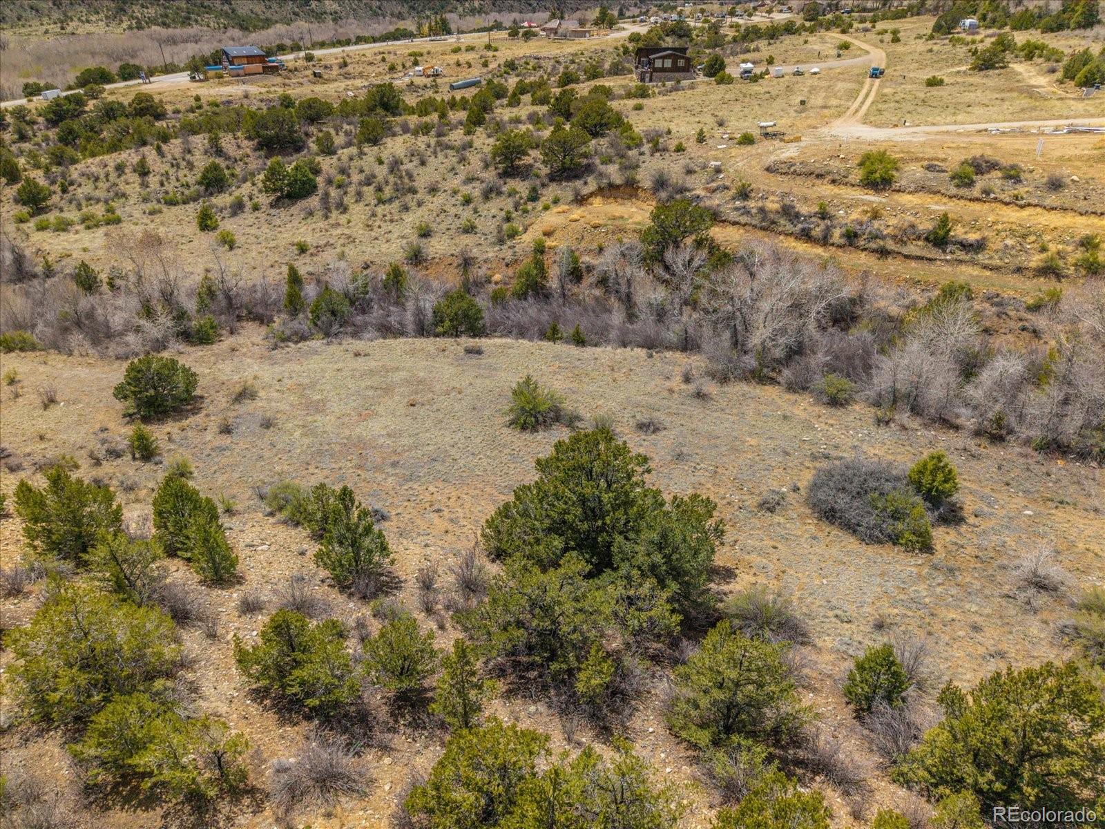 8209 Rocky Mountain Road Salida, CO 81201 - Photo 11 of 27 a view of a dry yard with trees