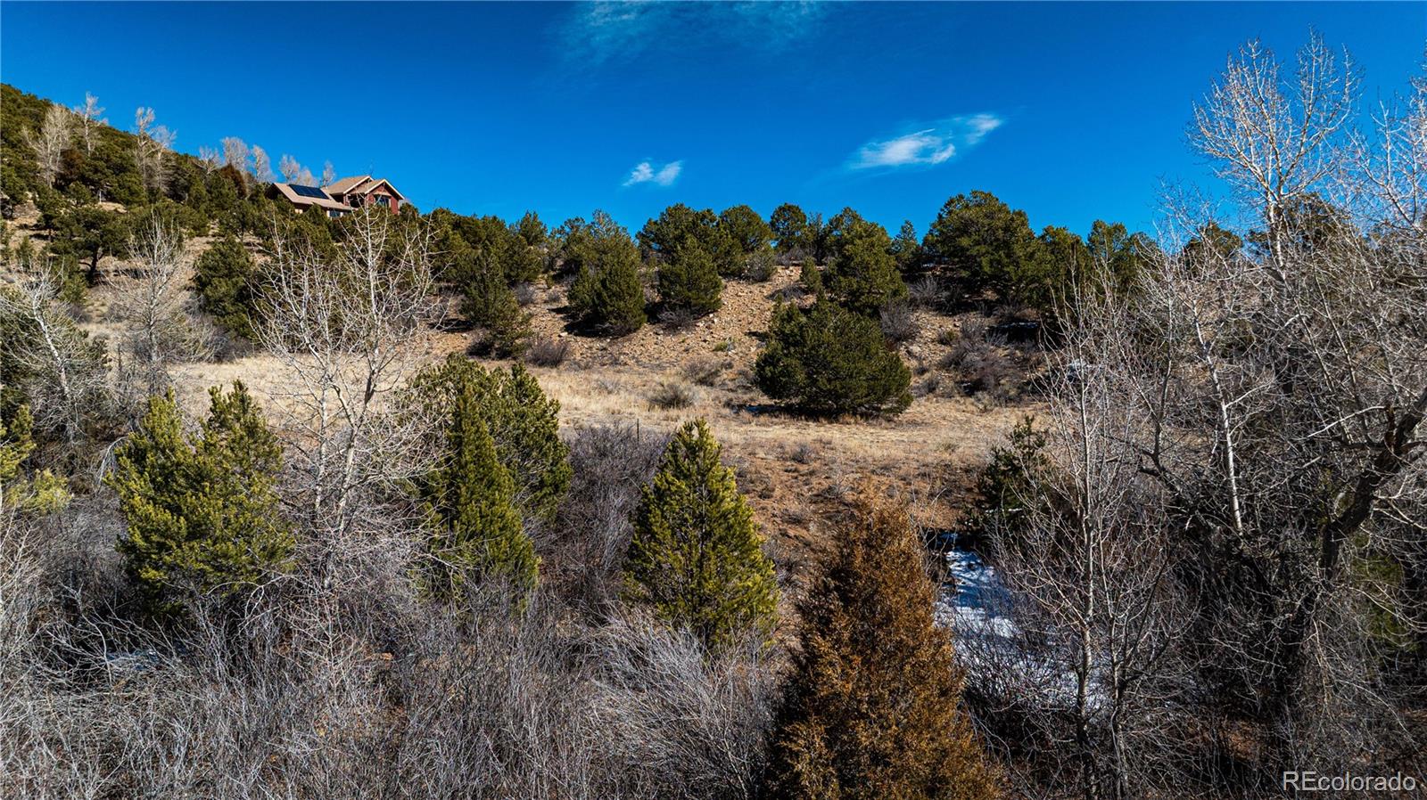 8209 Rocky Mountain Road Salida, CO 81201 - Photo 15 of 27 a view of a yard with a tree