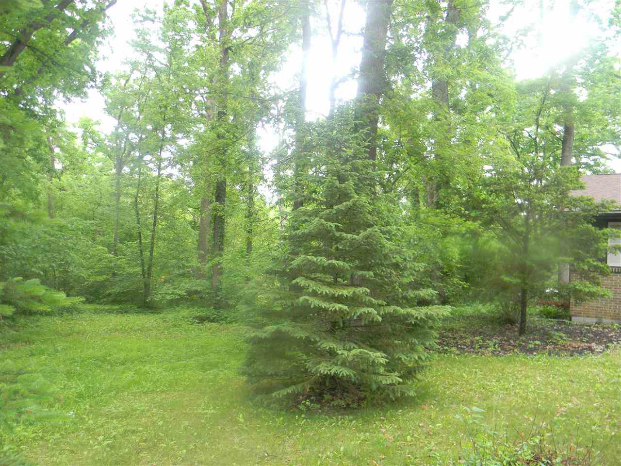 2150 Lake Summerset Road Davis, IL 61019 - Photo 3 of 18 a view of a lush green forest